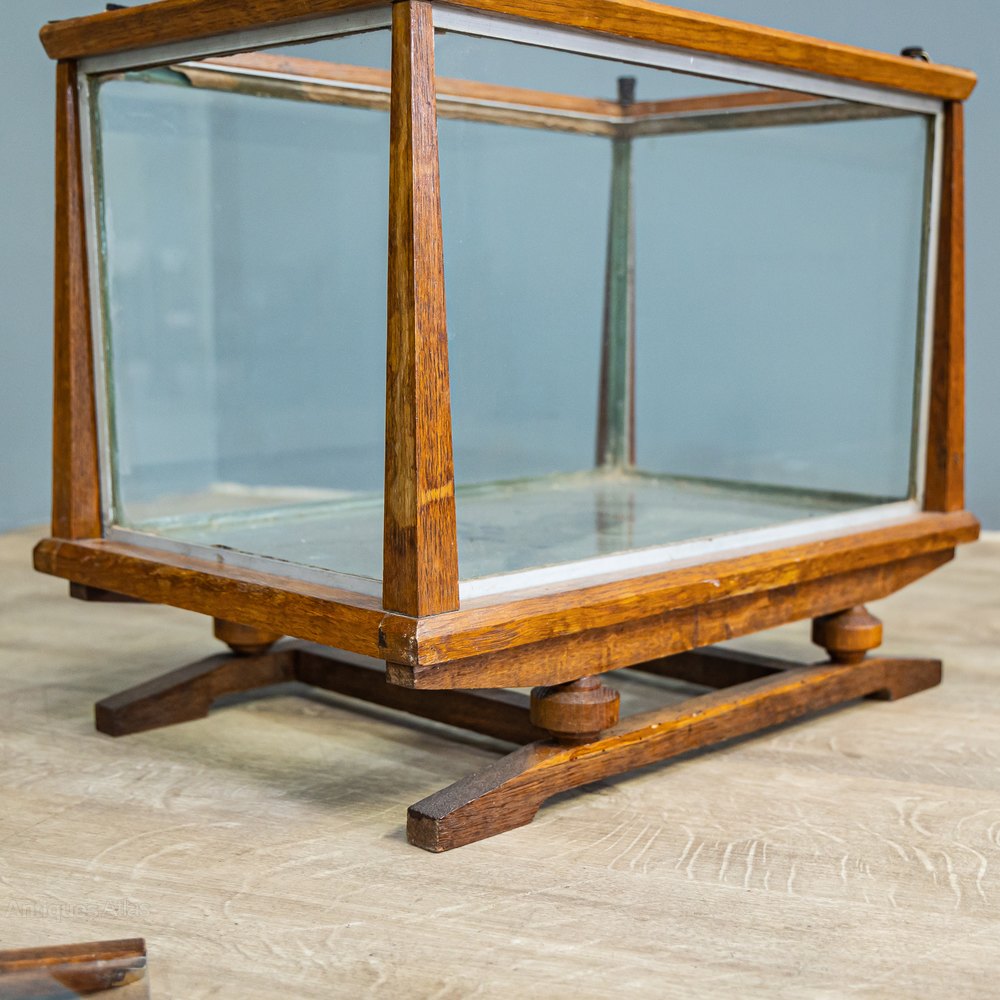 Victorian Terrarium Antiques Atlas