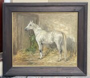 Portrait Of A Grey Horse Attrib Robert Alexander