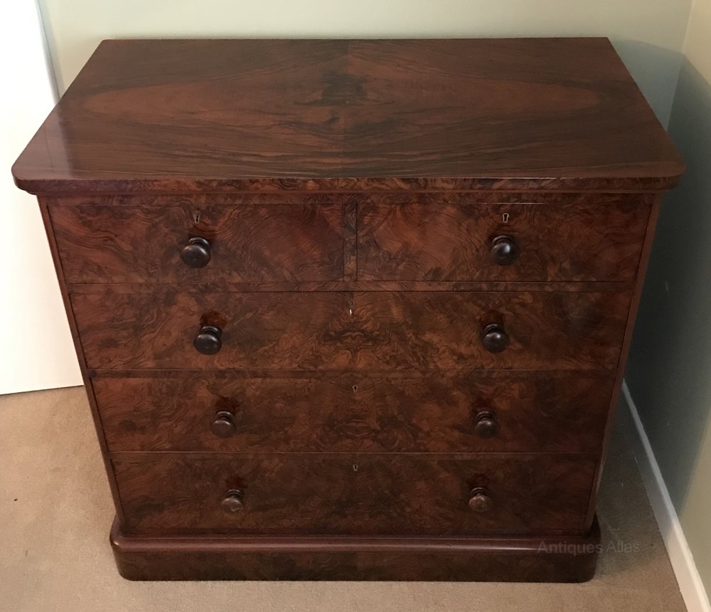 Victorian Burr Walnut Chest Of Drawers, James Shoolbred Antiques Atlas