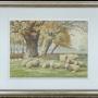 William Sidney Cooper Watercolour Sheep