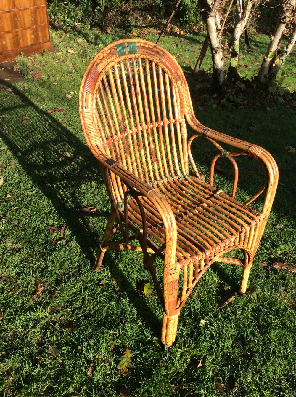An Australian Rattan Conservatory Arm Chair Antiques Atlas