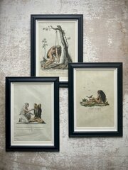 Eleven 18th Century Prints Of Fakirs