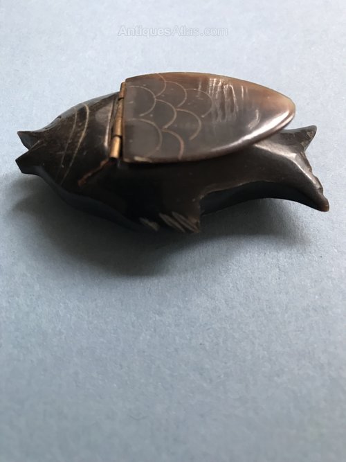 Antiques Atlas - Hand Carved Horn Fish Snuff Box as889a071