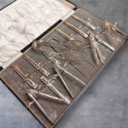 Cased Set 12 Asparagus Silver Plated Serving Set