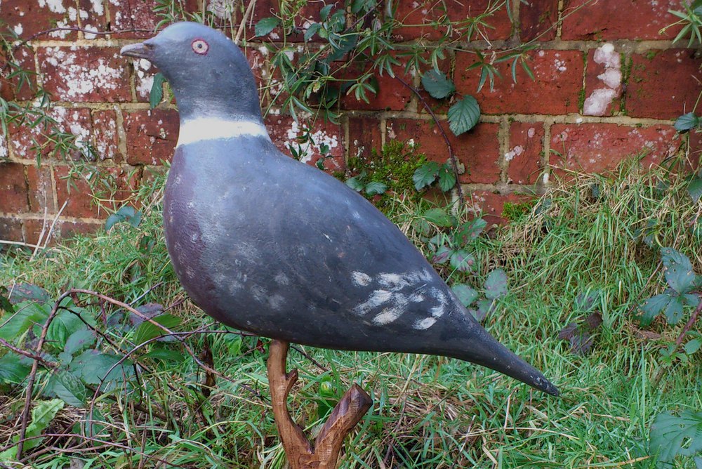 Antiques Atlas Pigeon Decoy