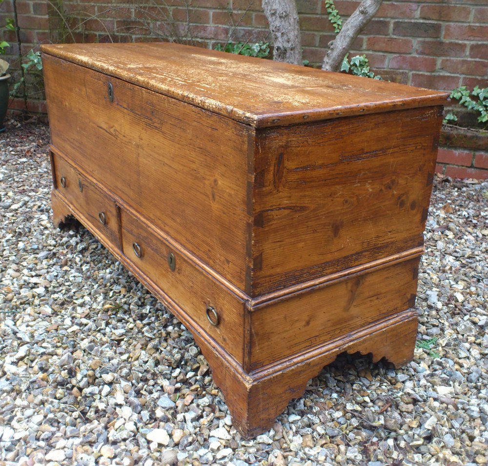 Pine Mule Chest Antiques Atlas