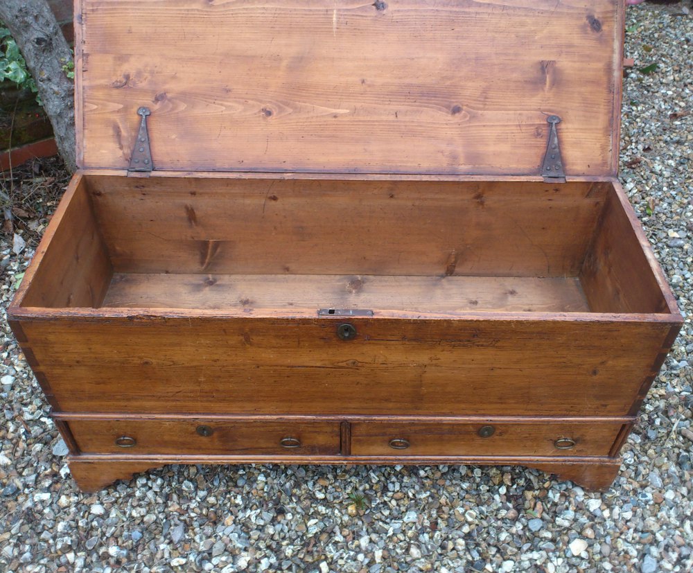Pine Mule Chest Antiques Atlas