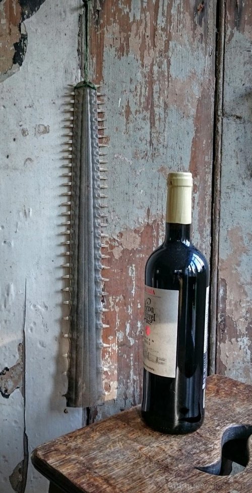 Antiques Atlas - Saw Fish Rostrum