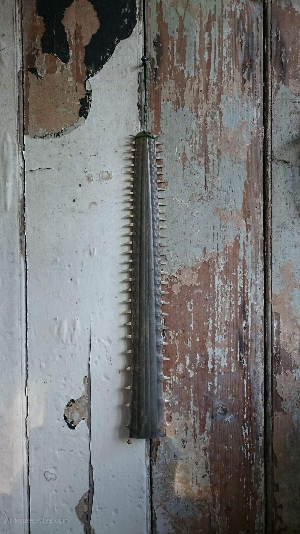 Antiques Atlas - Saw Fish Rostrum