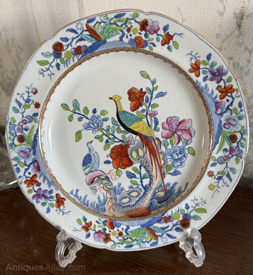 Antiques Atlas - Rare Regency Spode Pheasant Pattern Plates C1816