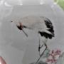 Chinese  porcelain