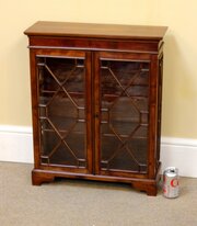 19thc. Mahogany Miniature Display Cabinet