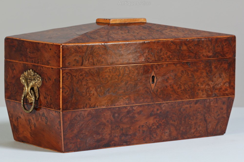 Antiques Atlas 19th Century Burr Yew Wood Tea Caddy. T655