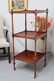 19th Century Mahogany 3-Tiered Display Stand U729