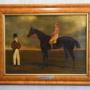horses
