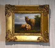 Fine Small Oil Painting Of Sheep 
