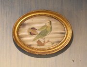 Georgian Needlework Of A Parrot
