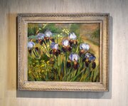 Oil Painting Of Irises