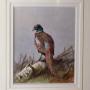 watercolour  pheasant