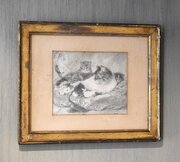 Victorian Drawing Of A Cat With Kittens