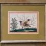 Antique Chinese Watercolour Painting Birds Among B