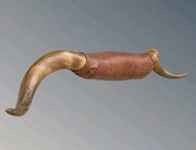 Good Large Set Of Longhorn Steer Horns