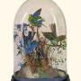 Taxidermy Dome Victorian Tropical Bird Diorama Mer