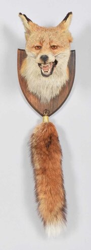 Taxidermy Fox (Vulpes Vulpes) Mask & Brush
