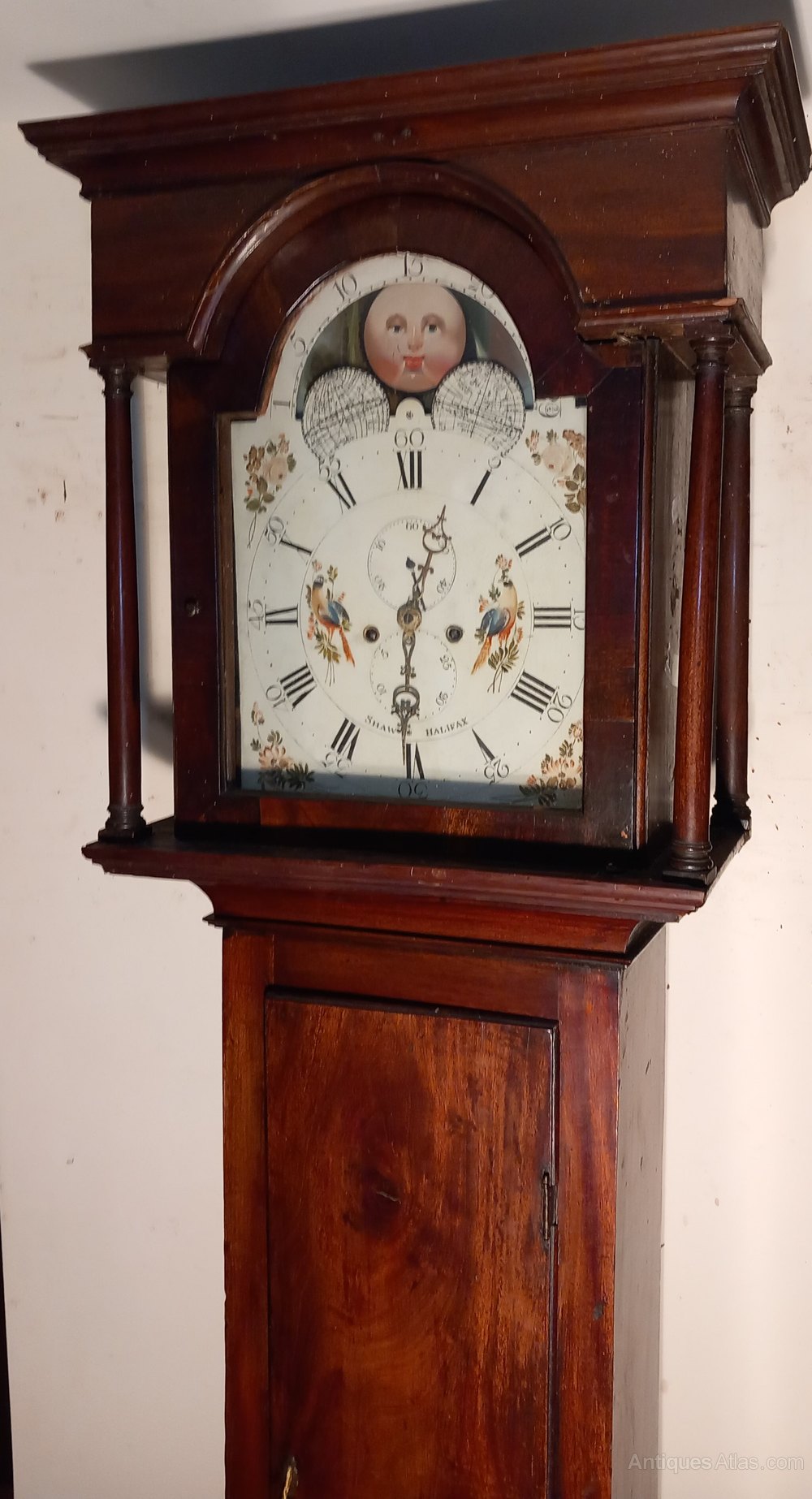 Antiques Atlas ANTIQUE MOON PHASE LONGCASE / GRANDFATHER CLOCK