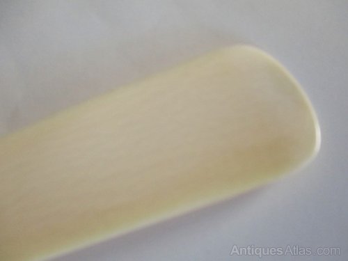 Ivory shoe horn Clearance