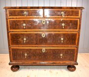 Oyster laburnum chest of drawers