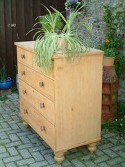 Early Victorian Pine Chest Of Drawers