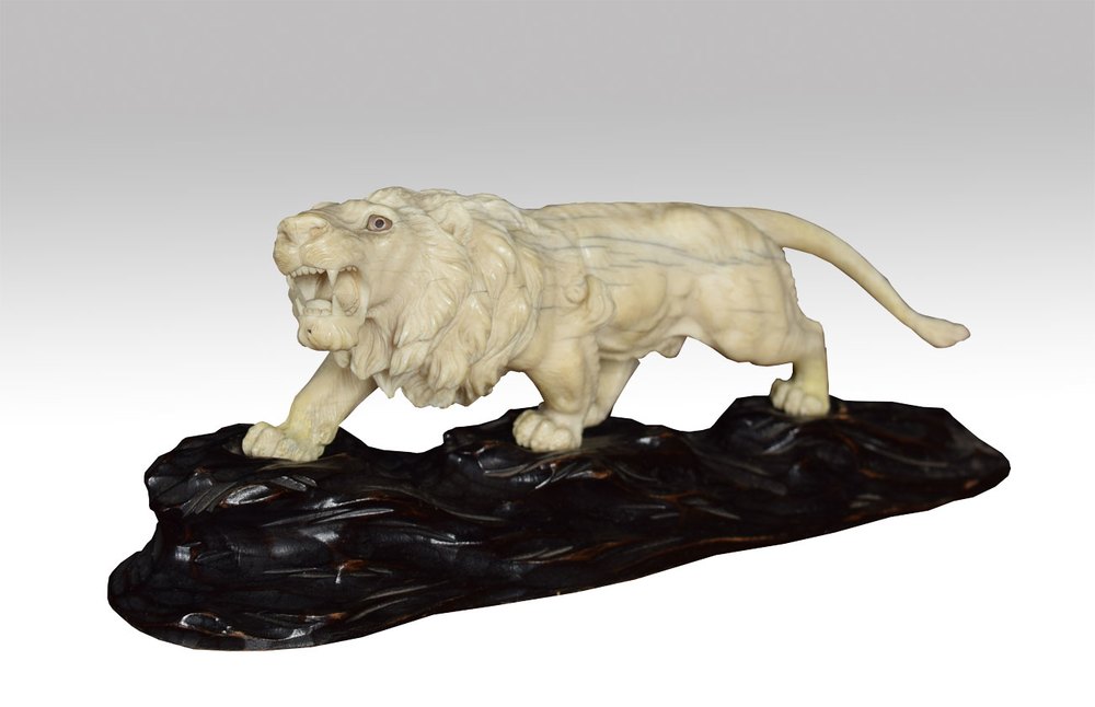Antiques Atlas Japanese Carved Ivory Lion On Custom Rosewood Base