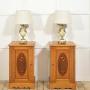 Pair of Neo-Classical Revival Marquetry Bedside Cabinets