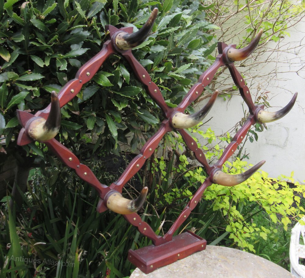 Victorian Cow Horn Hat Rack C1880 Antiques Atlas