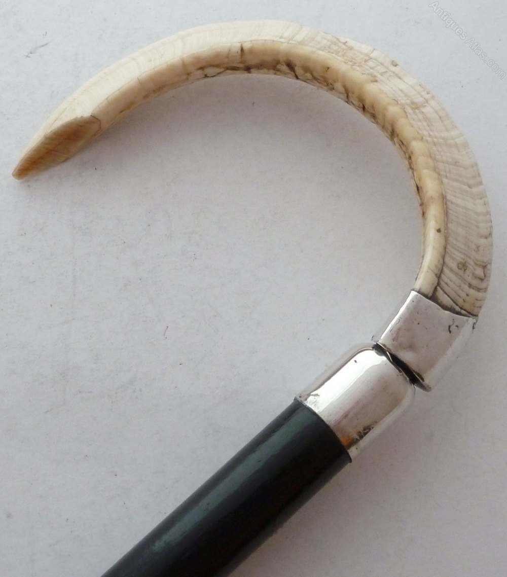 Antiques Atlas Rams Horn Walking Stick Cane London 1928 Ebonised