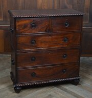 AngloIndian Padouk Campaign Chest