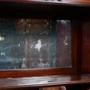 Art Nouveau  mahogany