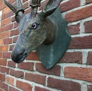 Early Carved And Painted Wood Stags Head 