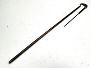 Ladies partridge wood walking