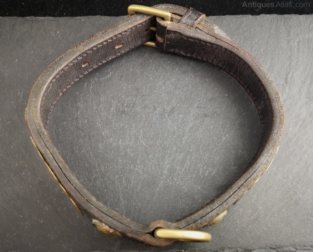 Antiques Atlas Victorian Leather And Brass Dog Collar