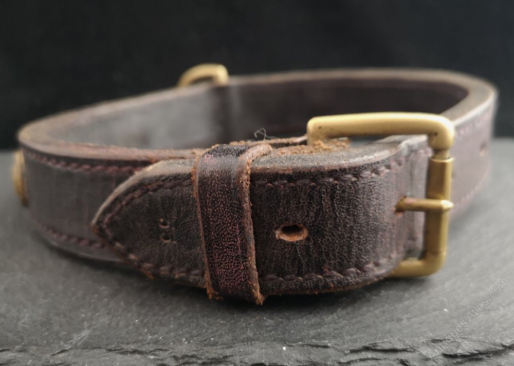 Antiques Atlas Victorian Leather And Brass Dog Collar