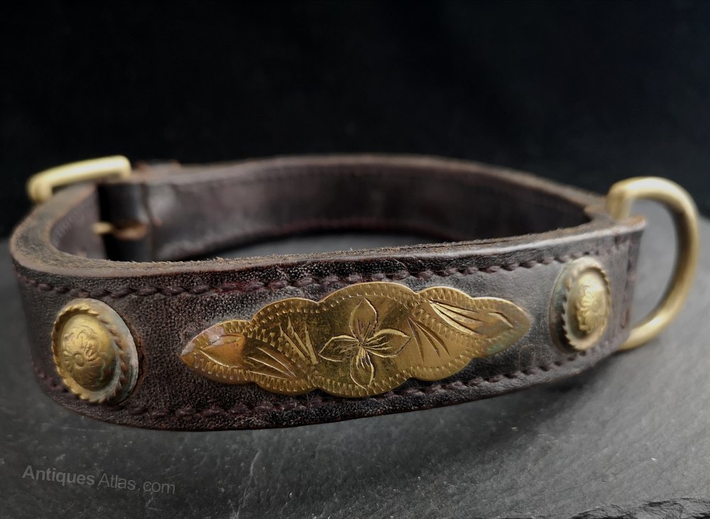 Antiques Atlas Victorian Leather And Brass Dog Collar