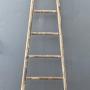 French Fruit Pickers Ladder