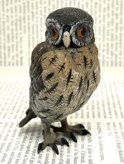 Franz Bergmann Cold Painted Bronze Owl