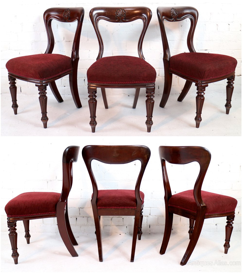 Set 10 William IV Mahogany Dining Chairs By J Proctor Antiques Atlas