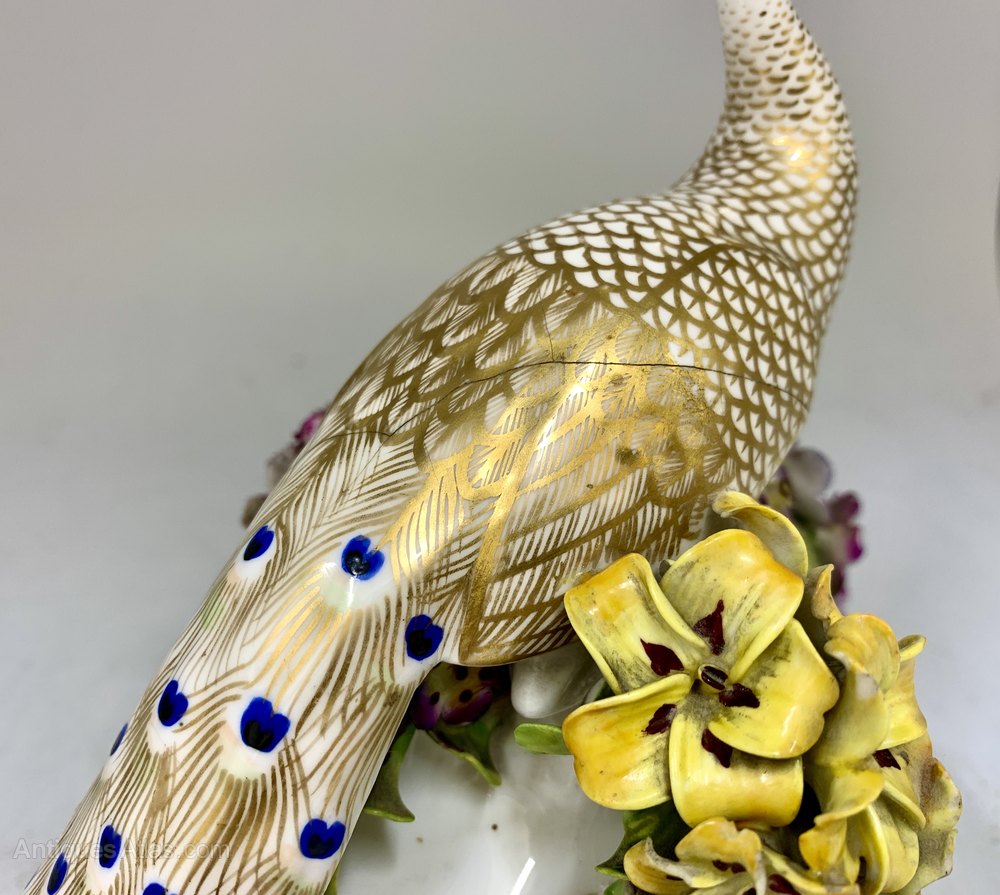 Antiques Atlas Antique Derby Porcelain Peacock Figurine Circa1865