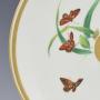 butterflies