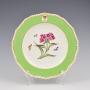 Regency Bloor Derby Armorial Botanical Plate