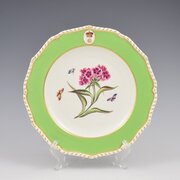 Regency Bloor Derby Armorial Botanical Plate